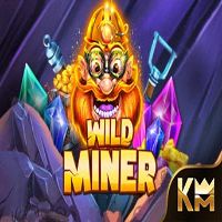 Wild Miner